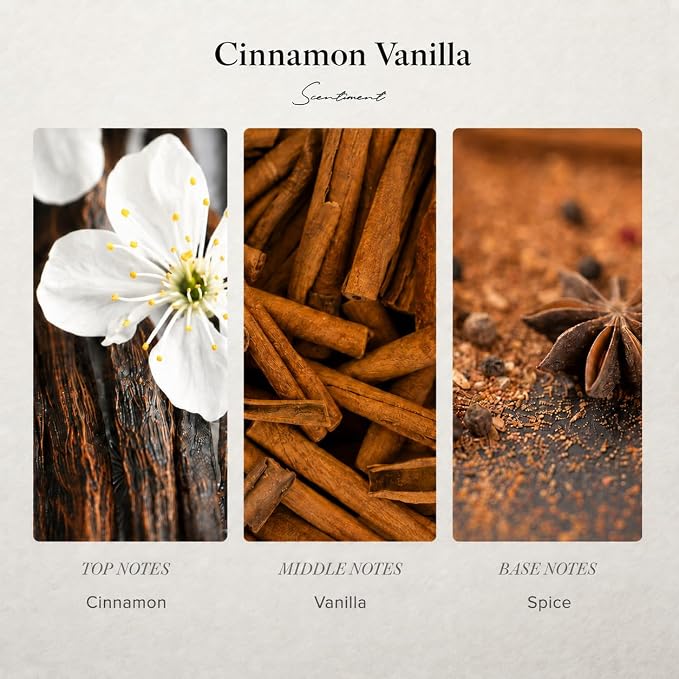 Scentiment Cinnamon Vanilla Diffuser Oil - Premium Hotel Scent with Notes of Cinnamon, Vanilla & Spice Home Scent, Aromatherapy Fragrance Oil Diffuser Refill - 4.06 fl oz (120 mL)