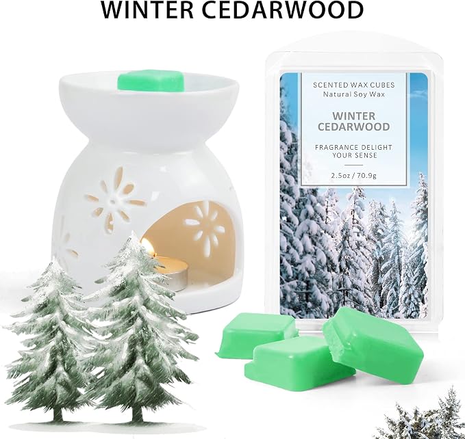 SCENTORINI Wax Melts Wax Cubes, Winter Cedarwood Candle Wax Melts Strong Scent, Soy Scented Wax Melts for Wax Warmer Christmas Home Decor, 2 x 2.5 oz