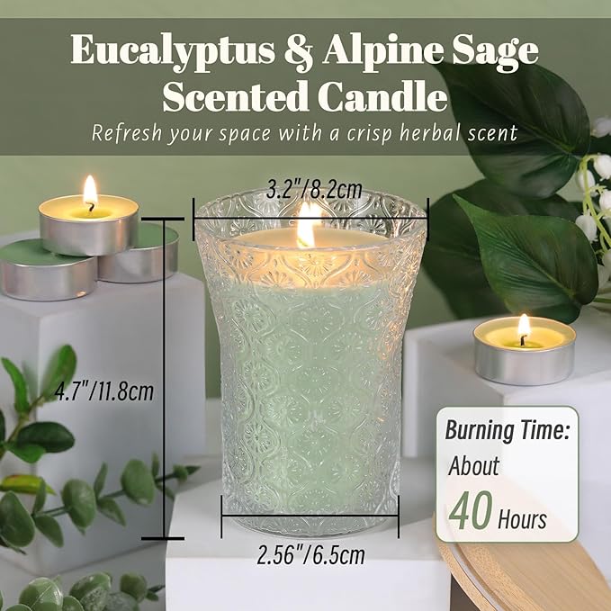 HAVITI Eucalyptus & Alpine Sage Scented Candle, Galentines Valentines Mother's Day Soy Jar Candles Gift Men Women,8 OZ Aromatherapy Luxury Candles for Home Decor