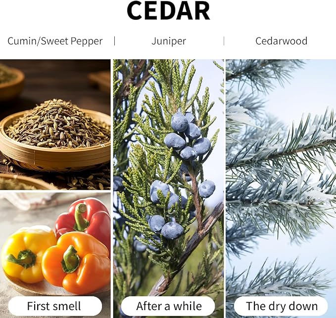 Cedar Scented Candle 7oz Soy Wax Jar Candle Long Burning Aromatherapy Candle for Home Bedroom Gift for Women Men Housewarming New Home Gift