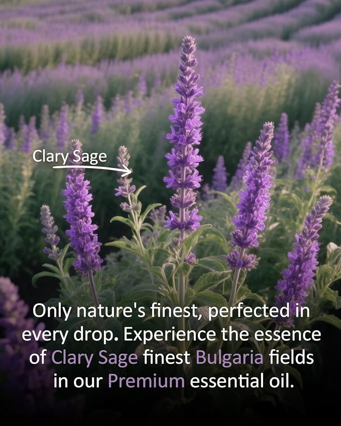Clary Sage Essential Oil 4 fl oz – 100% Pure with Herbal & Soft Floral Aroma for Diffuser, Aromatherapy, DIY Blends, Everyday Fresh Scent – Large Value Size