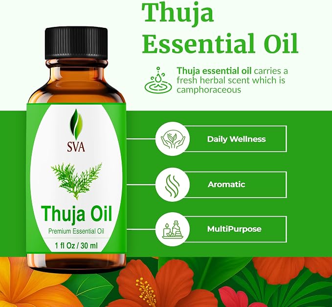 SVA Thuja Essential Oil 1 Fl Oz – for Diffuser, Skin & Hair Care – Ideal for Massage & DIY Blends - with Dropper