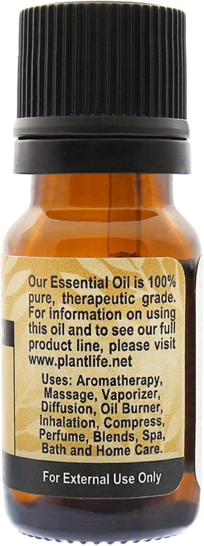 Plantlife Caraway Aromatherapy Essential Oil - Straight from The Plant 100% Pure Therapeutic Grade - No Additives or Fillers - 10 ml
