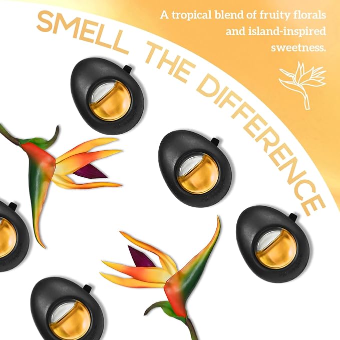 Air Jungles Car Air Freshener Vent Clip 3 Count (Pack of 2), Hawaii Mahalo Scent, 4 ml Each, Long-Lasting Car Odor Eliminator, Easy Clip-On Design, Up to 180 Days Freshness for Cars, Trucks, and SUVs