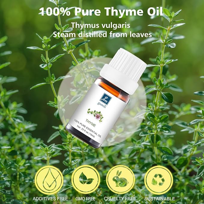 GM Gumili Thyme Oil - 100% Pure Essential Oil for Skin, Hair, Diffuser & DIY Crafts - 10mL Natural Herbal Scent