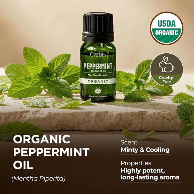 Gya Labs USDA Certified Organic Peppermint Essential Oil for Diffuser - for Topical Use, Hair, Body, Massages, Aromatherapy, DIY Candle Making Scents - 0.34 Fl Oz