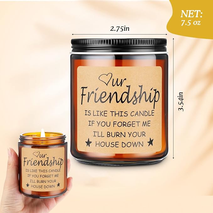 Funny Gifts for Friends,Gifts for Best Friend Women Men,Christmas Gifts for Friends,Funny Birthday Gifts for Friend,Friendship Gifts for Women Candles Gift (Friendship)