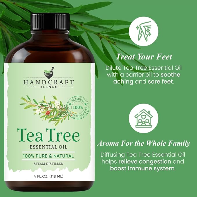 Handcraft Blends Purify & Refresh Set: Eucalyptus and Tea Tree Essential Oils – (2 x 4 Fl Oz) – 100% Pure & Natural – for Diffuser, Aromatherapy, and DIY Projects
