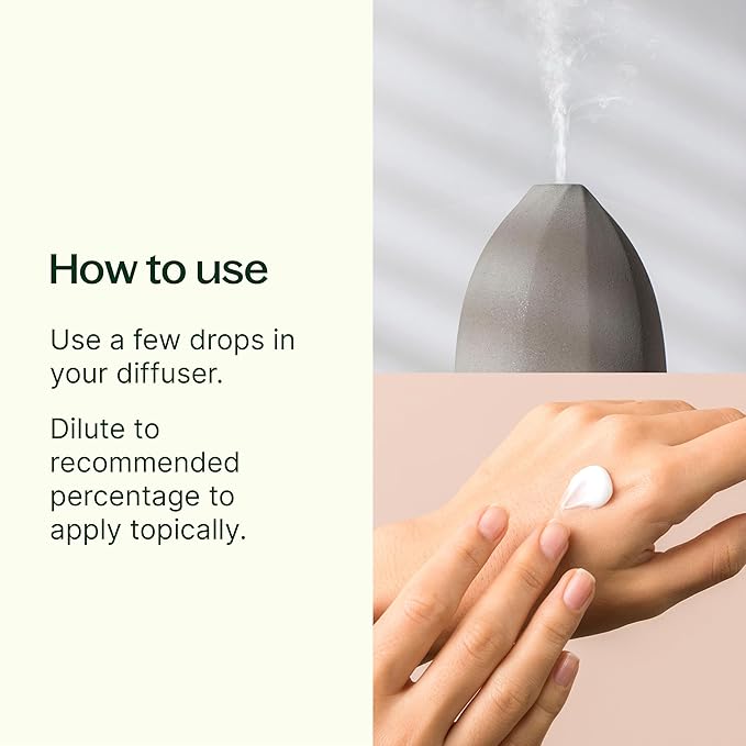 Plant Therapy 7 & 7 Essential Oils Set, 7 Most Popular Single Essential Oils Plus 7 Favorite Blends, Each 10 mL (1/3 oz), 100% Pure, Undiluted, Great for DIYs, Skincare and Essential Oil Diffusers