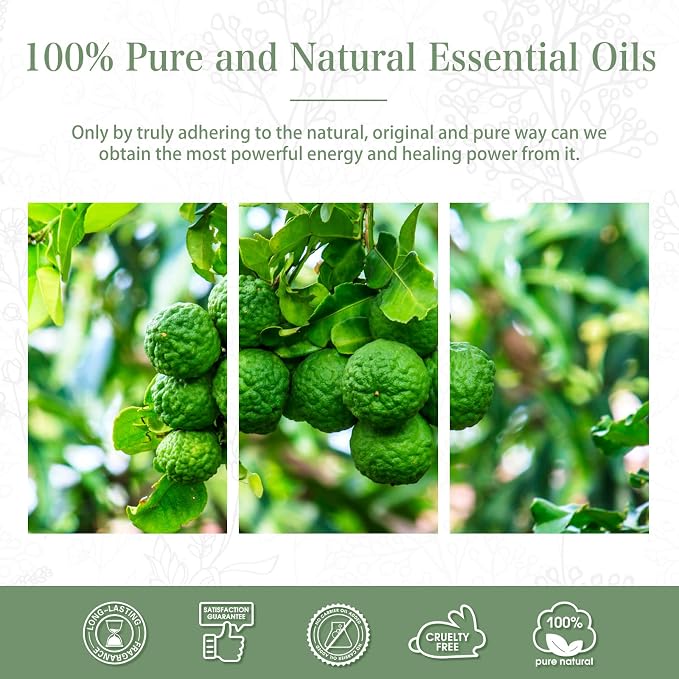PHATOIL 3.38FL.OZ Bergamot Essential Oil, for Aromatherapy Diffusers, Humidifiers, Great for DIY Candle and Soap Making, Huge 100ML Bottle