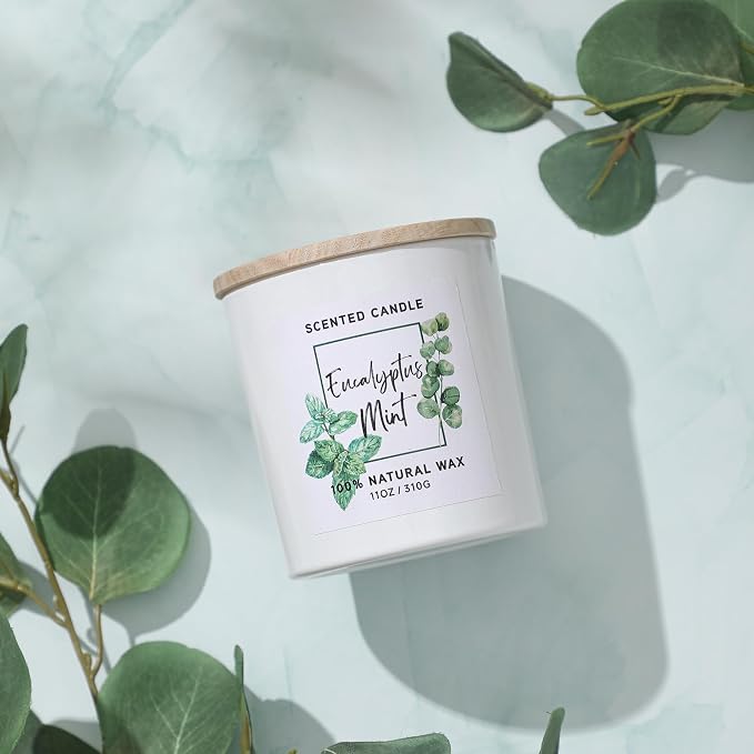 Eucalyptus & Mint Scented Candle,White Candles for Home Scented,Aromatherapy Candle,Stress Relief Candle,Christmas Gift for Women Men,Natural Soy Wax Candle,11oz