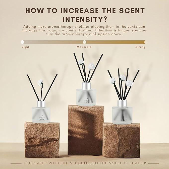 Brakula Reed Diffuser Set, Eucalyptus & Wild Mint Scented， Reed diffusers for Home， Home Fragrance Diffuser with 7 Reed Sticks for Room/Bathroom Decor 3.38 fl oz (Eucalyptus & Wild Mint)