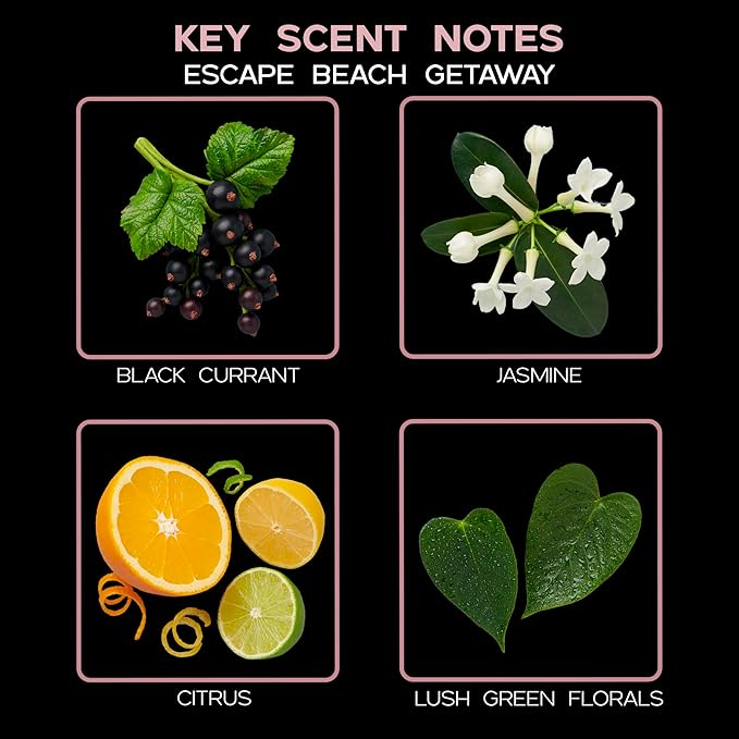 Reed Diffuser Set, Escape Beach Getaway Scented Oil Diffuser with Sticks, Home Fragrance Accessories for Bathroom Shelf Decor, Aroma Diffusers for Home or Office Desk, USA Made