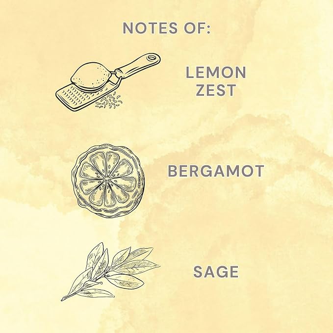 Scented Reeds Diffuser 3 fl oz (90mL) with 8 Synthetic Reeds (Refresh (Lemon Zest + Bergamot + Sage))