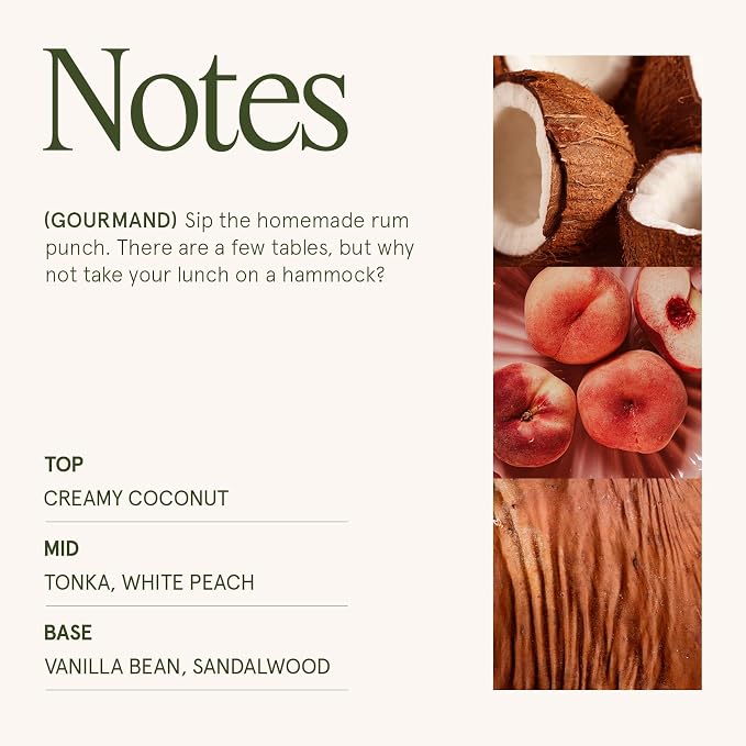 LA JOLIE MUSE Island Coconut Vanilla Scented Candles for Home,19 oz Soy Wax | Large Jar Luxury Candles, Clean Non Toxic, Gift for Women & Men, Decorative Gourmand Summer Candle, Tropical Candle,Wood Wick