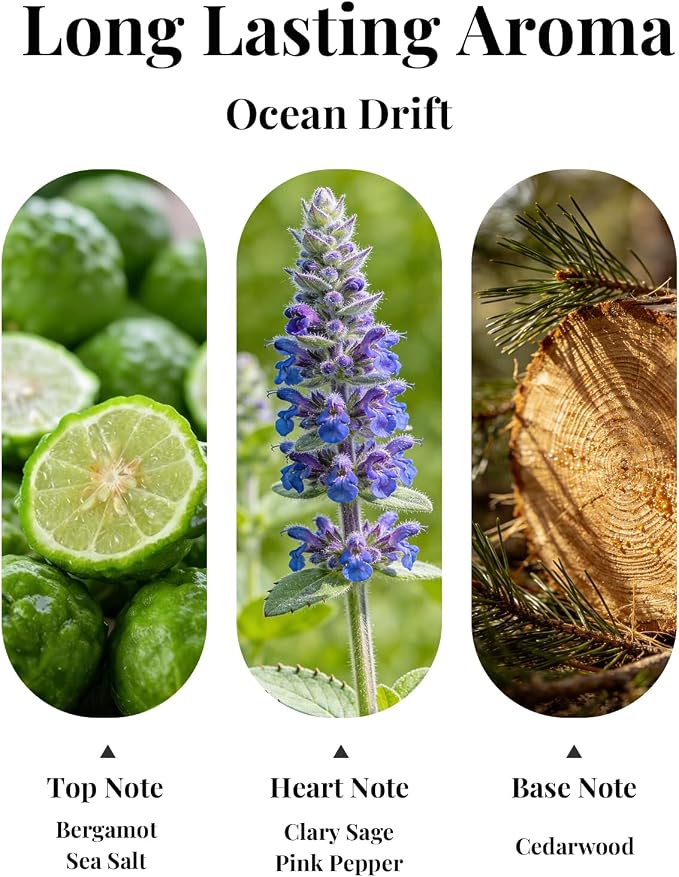 Ocean Drift Car Air Fresheners, 2 Packs, Hanging Car Diffuser | IFRA Certified Car Odor Eliminator
