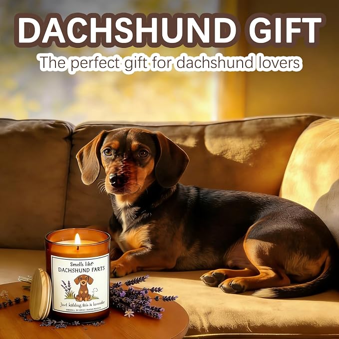 Gift for Dachshund pet Owners & Dog Lovers - Weiner Dog Mom Gifts for Women Crafted by Natural Soy Wax Lavender Pet Friendly Safe Scented Candle Perfect for Christmas Birthday Housewarming Decor