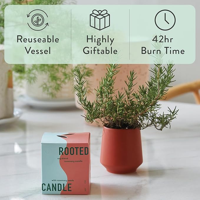 Modern Sprout Soy Candle Planter - Grows Rosemary - Cucumber Scent - 2-Pack | 2 in 1 - Soy Candles -6 oz w/42-hr burn each - cucumber scent - ceramic vessel reuses as a planter for non-GMO rosemary seeds