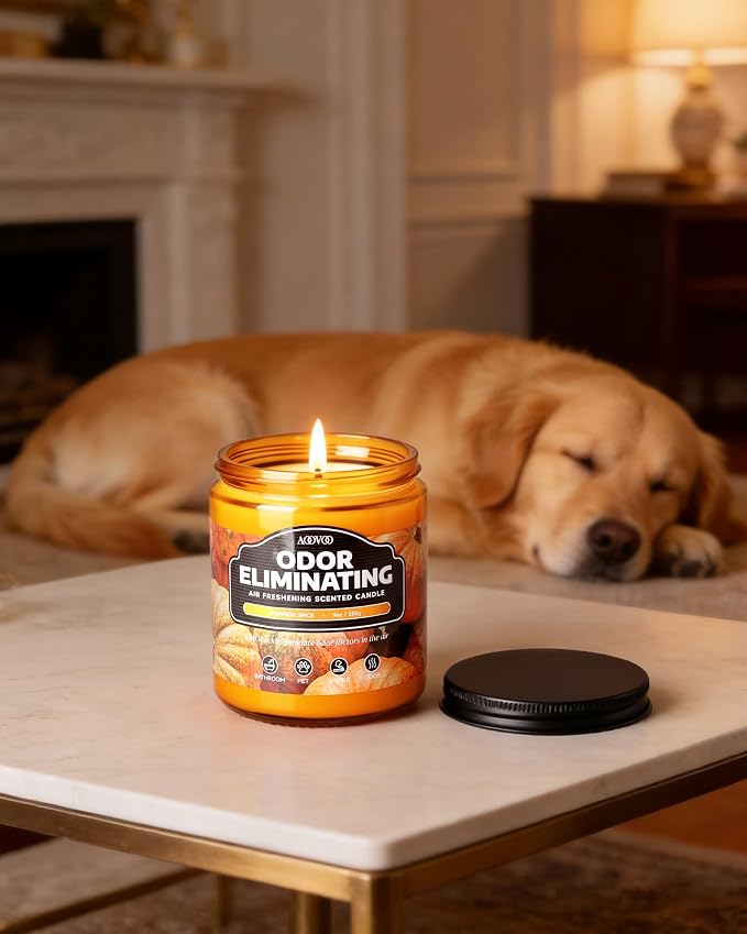 AOOVOO Pumpkin Spice Odor Eliminating Highly Fragranced Candle - Eliminates 95% of Pet, Smoke, Food, and Other Smells Quickly, Non Toxic Air Freshing Soy Candle, 9 oz Up to 50 Hours Burn time