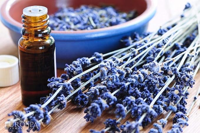 EuroSpa Aromatics Pure Eucalyptus Oil ShowerMist and Steam Room Spray, All-Natural Premium Aromatherapy Essential Oils - Lavender Infused, 2oz