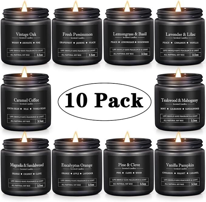 10 Pack Scented Candles for Men, Masculine Candle Gift Set with Woody & Fresh Scents, Soy Wax Aromatherapy Candles for Home, Gifts for Him, Boyfriend, Father's Day