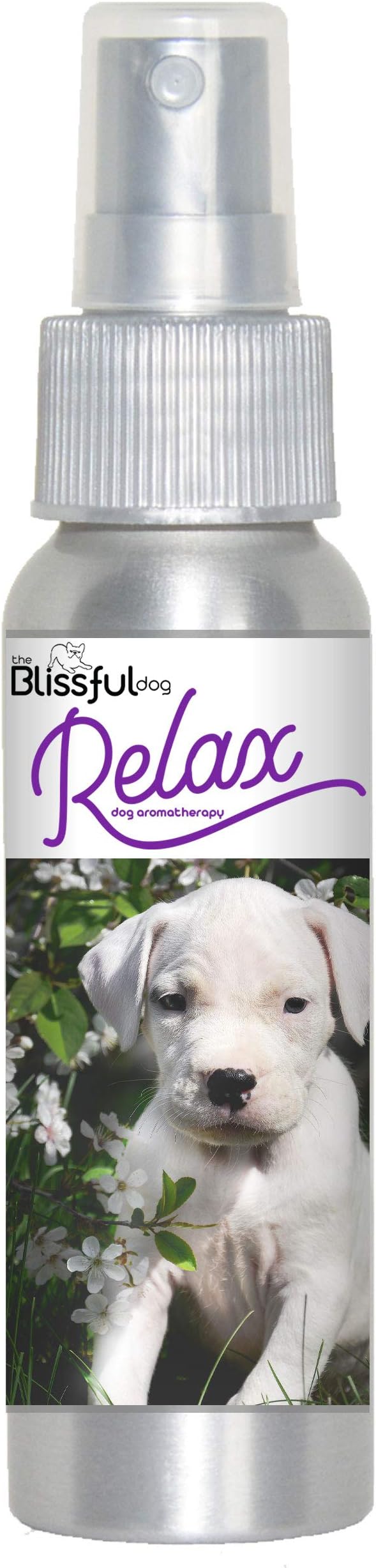 The Blissful Dog Dogo Argentino Relax Dog Aromatherapy Spray for Your Dog's Anxiety