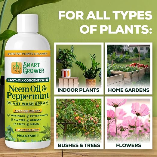 Neem Oil Spray for Plants with Peppermint Oil – for Indoor & Outdoor Plants, Gardens, & Houseplants– Best Value Refill 16 oz Concentrate Makes 2 Gallon RTU
