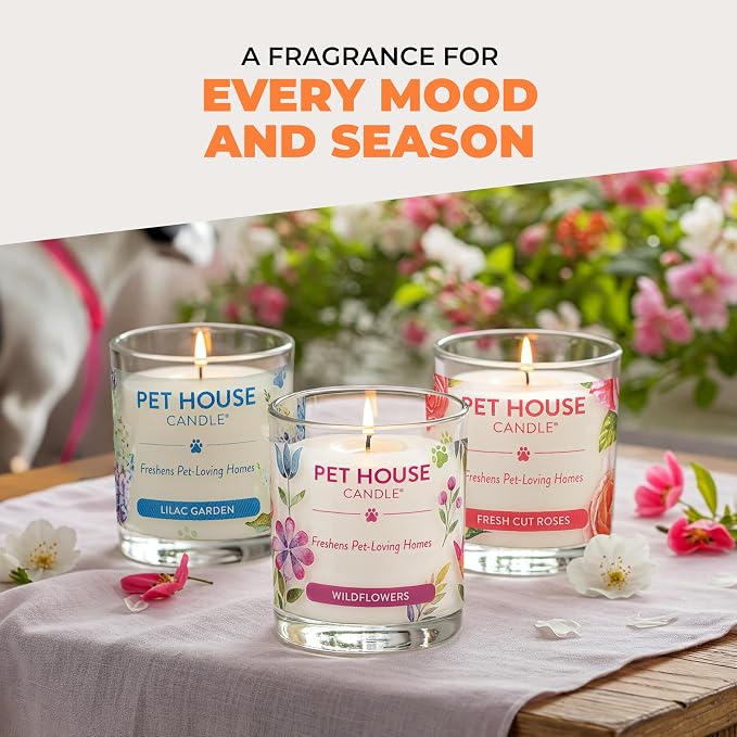 One Fur All Pet House Fall Candles, Long Lasting, Clean Burning, Soy Wax Scented Candles for Pet Odor, Orange Spice, 2 Pack