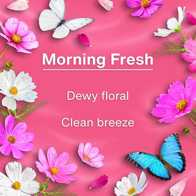 LITTLE TREES Car Air Freshener | Hanging Tree Provides Long Lasting Scent for Auto and Home | 24 Air Fresheners |Morning Fresh