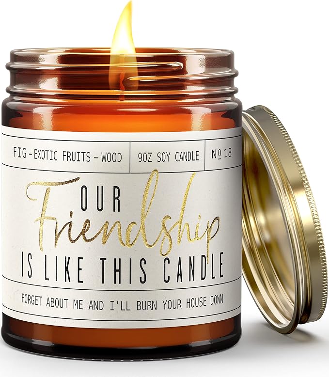 Soy Candle: Our Friendship, Fig & Sandalwood by Soy and Sass