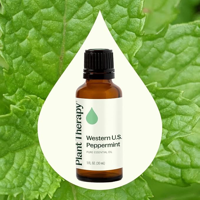 Plant Therapy Peppermint Western U.S. Essential Oil 30 mL (1 oz) 100% Pure, Undiluted, Therapeutic Grade