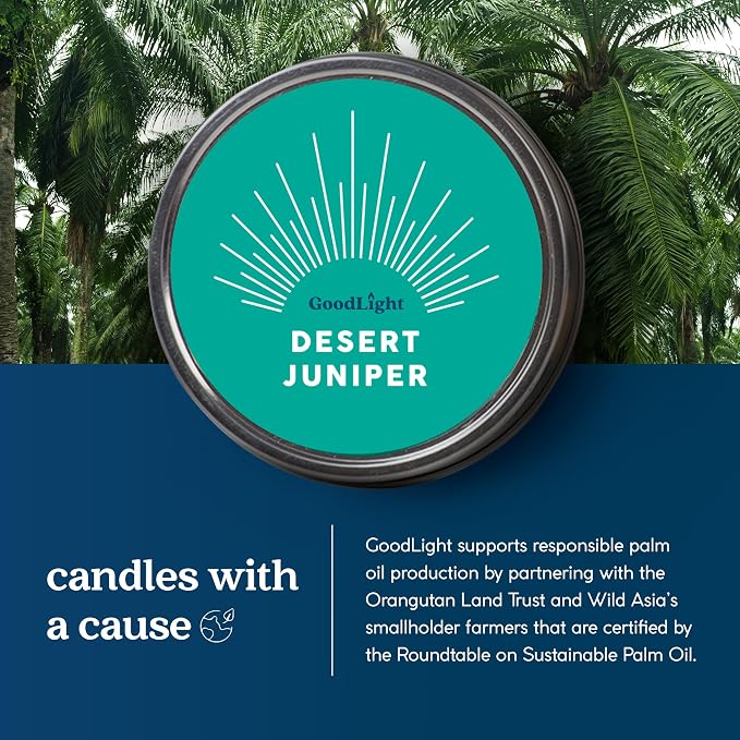 GoodLight Paraffin-Free Scented Candle in Stylish Tin (Desert Juniper, 6 oz)