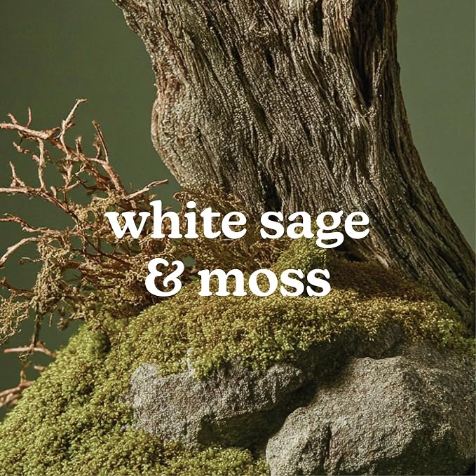 Homedics SereneScent White Sage & Moss Fragrance Oil 15ml | Herbal Woody Blend with Bergamot, Sea Salt & Lavender | USDA Biobased Essential Oil Diffuser Scent | Waterless Cold Air