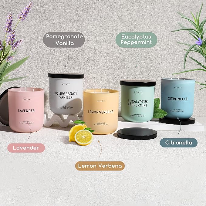 Pomegranate Vanilla Scented Candle for Home, 14.1oz 80H Long Lasting Aromatherapy Candles for Warmth & Festivity, Non-Toxic Essential Oil & Soy Wax | Fruity-Sweet Vanilla Fragrance