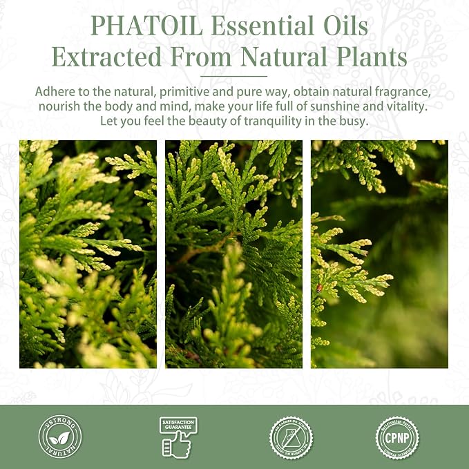 Cypress Essential Oil, 1.01Fl.Oz (30ML) PHATOIL Pure Essential Oil Singles for Aromatherapy Diffusers, Humidifiers, Great for DIY Candle and Soap Making, Gift for Friend
