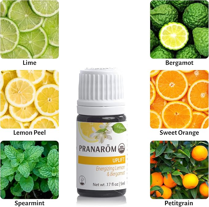 Pranarom - Uplift Essential Oil Blend (5ml) - Mandarin, Sweet Orange, Ylang Ylang, Patchouli, Blue Tansy - 100% Pure Essential Oil for Energy and Positivity | USDA and ECOCERT Certified Organic