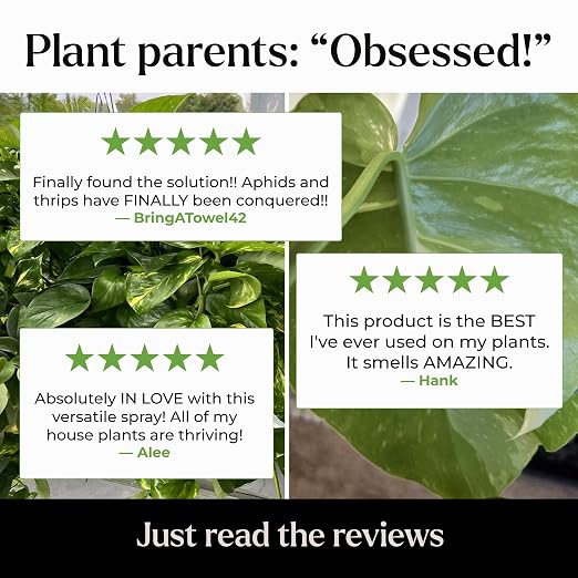 Neem Oil Spray for Plants – Big Leaf Energy + Essential Oils – Ready to Use Organic Plant Wash to Protect Outdoor & Indoor Plants, Made in USA (16 fl oz)