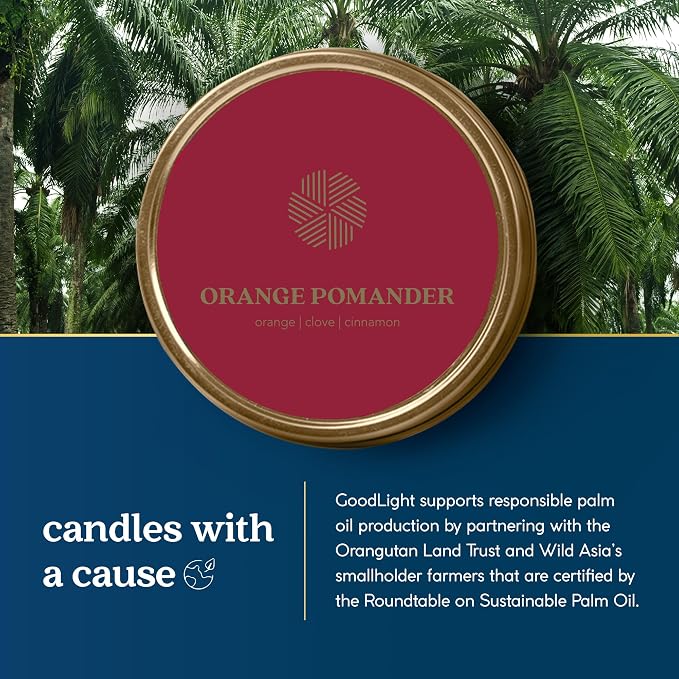 GoodLight Paraffin-Free Scented Candle in Stylish Tin (Orange Pomander, 6 oz)