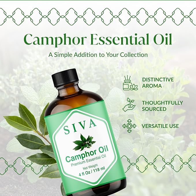 Siva Camphor Essential Oil 4 Fl Oz – for Diffuser, Skin & Hair Care – Ideal for Aromatherapy, Massage & DIY Blends- with Dropper