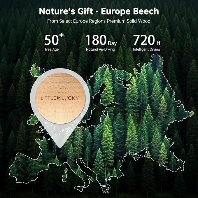 Car Air Freshener, 2 PCS Premium Europe Beech Wood, Car Air Freshener Vent Clip for Hidden Air Vent etc, 4 Scent Refills, 2 Plant-Extract Fragrances from France MANE, Long-lasting for 120 Days