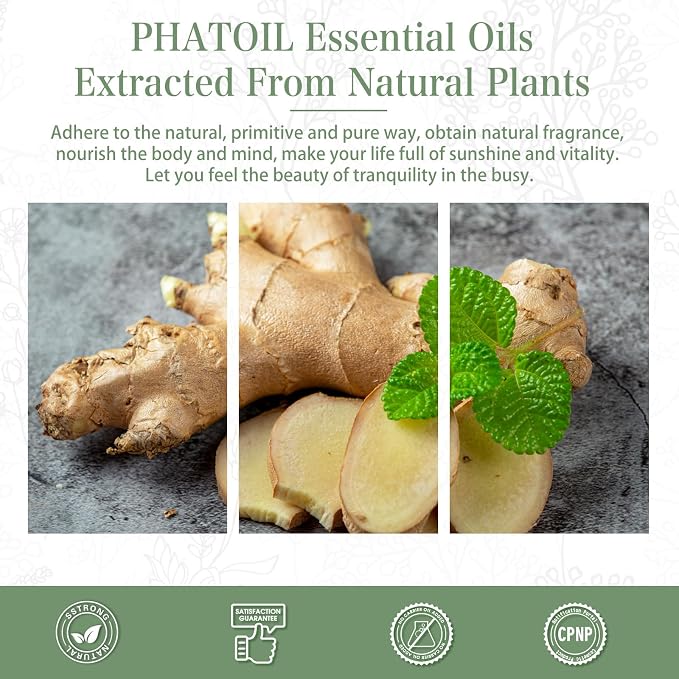 Ginger Essential Oil, 1.01Fl.Oz (30ML) PHATOIL Pure Essential Oil Singles for Aromatherapy Diffusers, Humidifiers, Great for DIY Candle and Soap Making, Gift for Friend