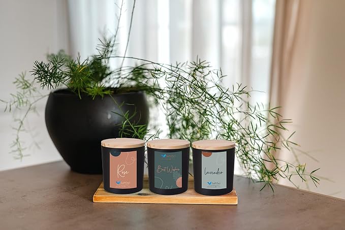 SoftOwl Premium Soy Candle Making Kit - Black Edition - Full Set with Electric Melter - Soy Wax, Big 7oz Jars & Tins, 7 Pleasant Scents, 10 Color Dyes & More - Perfect as Home Decorations