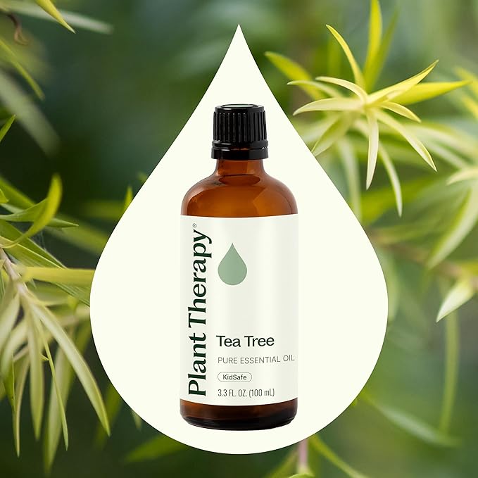 Plant Therapy Tea Tree Essential Oil, 100 mL (3.3 oz), Melaleuca alternifolia, 100% Pure and Undiluted, Natural Aromatherapy for Skin, Hair & Home