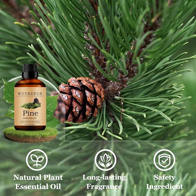 Pine Essential Oils 60ML, Pure Pine Essential Oil for Aromatherapy Diffuser - 2 Fl Oz