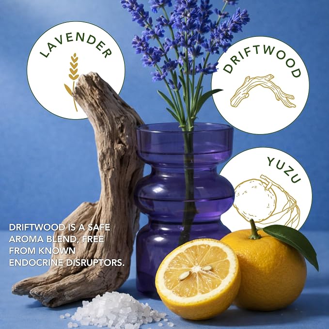 Coastal Breeze – Yuzu & Sea Salt Beeswax Candle, Non Toxic Scented Candle, Clean Burning Ocean & Beach Candle, Fresh Airy Summer Candle for Home, Gift for Women & Men - 5.5 OZ