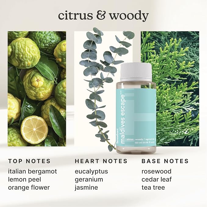 Homedics SereneScent Waterless Home Fragrance Diffuser & Oils Set, Includes 2 120ml SereneScent Oil Bottles, Maldives Escape and Aspen Fir, Patented Air Diffusion Technology, Large Rooms