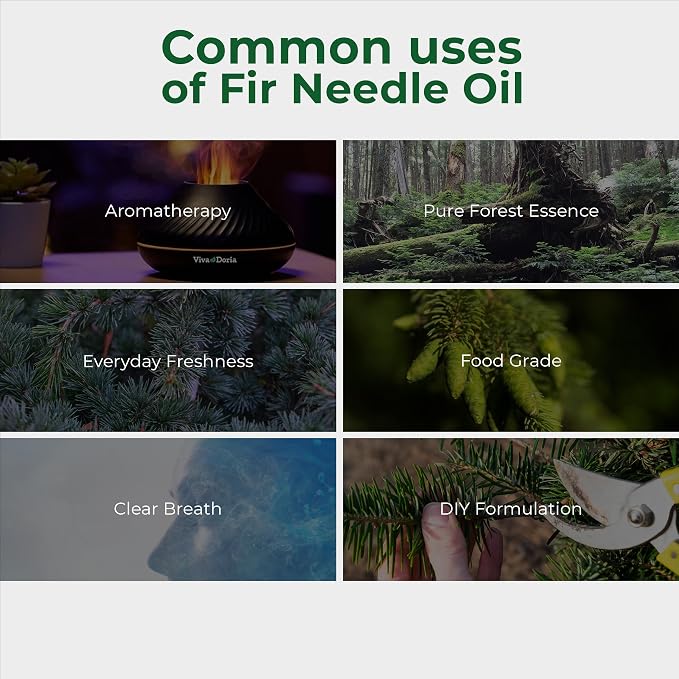Viva Doria Fir Needle Essential Oil, 100% Pure, Natural Essential Oil, Undiluted, for Aromatherapy | Food Grade, 30 mL (1 Fluid Ounce)