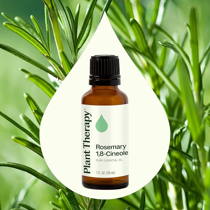 Plant Therapy Rosemary Essential Oil for Hair Growth, 30 mL (1 oz), 100% Pure and Undiluted, Natural Aromatherapy for Diffuser & Rosemary Oil for Hair & Scalp Health