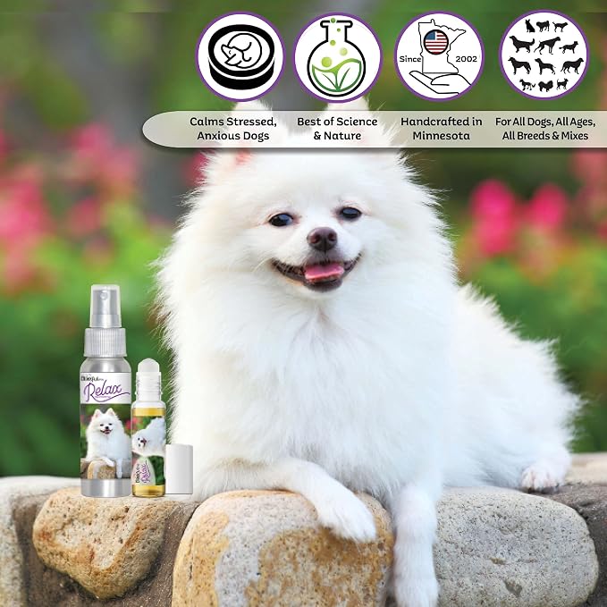 The Blissful Dog American Eskimo Relax Roll-ON Aromatherapy for Dogs - Anxiety Relief for Dogs