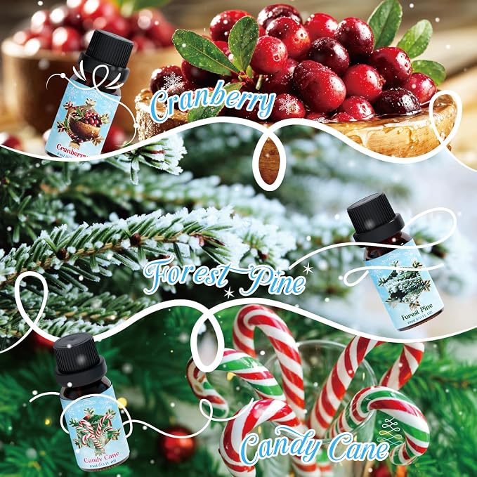 Holiday Fragrance Oil Set, Winter Essential Oils for Diffuser, Apple Cinnamon, Forest Pine, Candy Cane, Winter Mint, Cranberry, Mistletoe, Diffuser Oils Gift Set for Aromatherapy